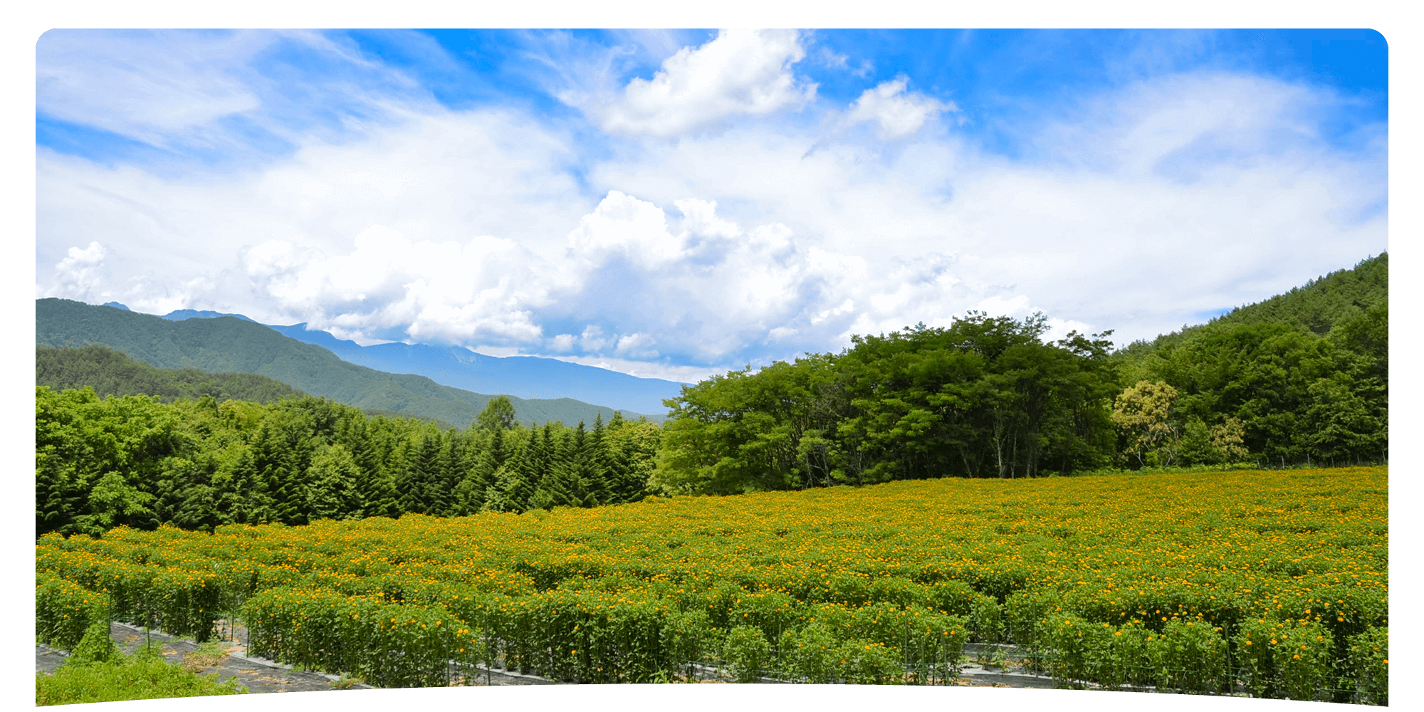 slide_02